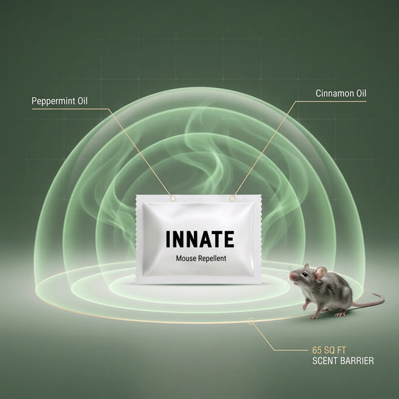 Feature product image